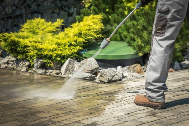 Best Parking Lot and Garage Cleaning  in Romancoke, MD