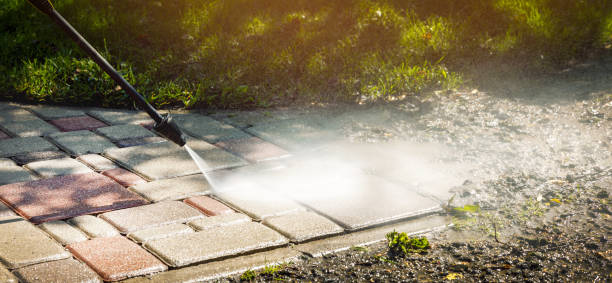 Best Warehouse Cleaning  in Romancoke, MD